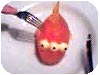 il pesce tiocchiuto