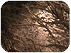questa foto è venuta così, color sepia