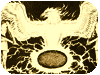 The Egg of the Phoenix